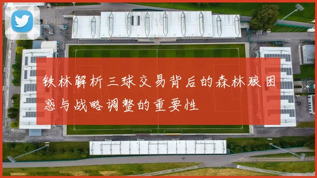 铁林解析三球交易背后的森林狼困惑与战略调整的重要性